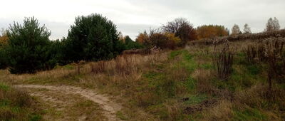 Ludwinów, rozejście szlaków