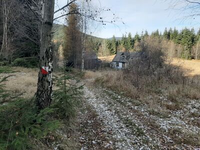 Ruiny zabudowań p. Dawców - w czasie wojny punkt kontaktowy Armii Krajowej 