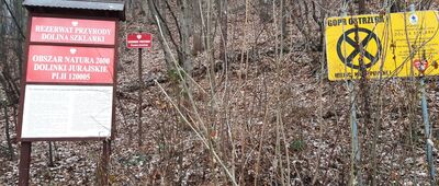 Rezerwat Dolina Szklarki ↔ Szklary [Tablice rezerwatu.]