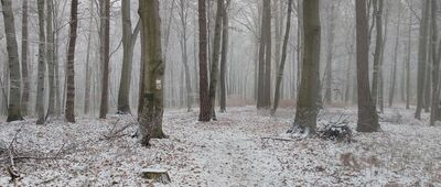 Dębnik ↔ Rozejście szlaków