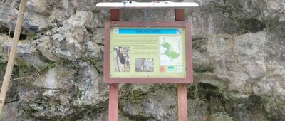 Skrzyżowanie pod Zamczyskiem ↔ Rezerwat Dolina Racławki