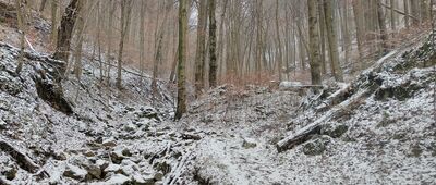 Skrzyżowanie pod Zamczyskiem ↔ Rezerwat Dolina Racławki