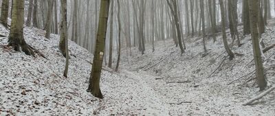 Skrzyżowanie pod Zamczyskiem ↔ Rezerwat Dolina Racławki