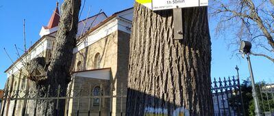 Mucharz [Tuż obok kościoła rozpoczyna się żółty szlak. 100 % asfaltu]