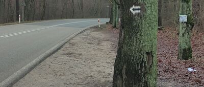 Zalesie Górne, parking [tuż przy parkingu]