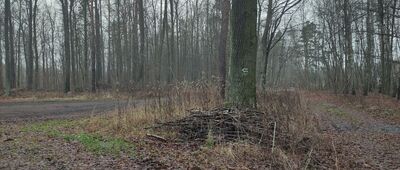 Skrzyżowanie szlaków czerwony / zielony ↔ Rozejście szlaków zielony / czarny