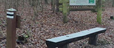 Skrzyżowanie szlaków żółty / czarny ↔ Rozejście szlaków zielony / czarny