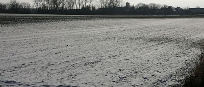 Ziemnice ↔ Koskowice [Widok na Koskowice]