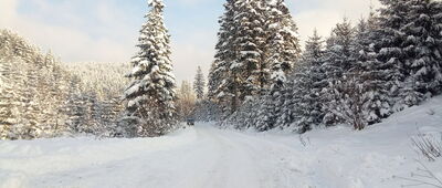 Żabnica, Skałka, parking ↔ Żabnica, Skałka