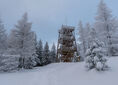 Odejście na Czerniawską Kopę ↔ Czerniawska Kopa [Wieża widokowa na Czerniawskiej Kopie]