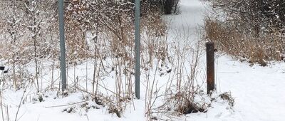 Warszawa, ul. Rzodkiewki [rezerwat o pow. 20,8 ha, chroni skarpę wiślaną, łąki i torfowiska u jej podnóża]