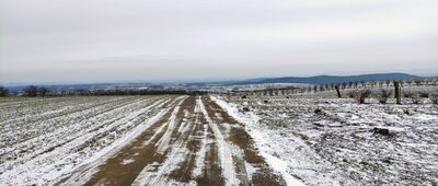 Rybna, ul. Źródlana ↔ Skałka, Rezerwat Zimny Dół [ul. Widokowa]