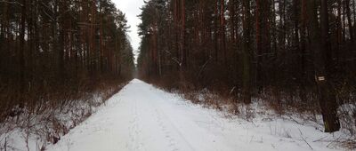 Droga do źródła Siarczanej ↔ Jaworzno, Ciężkowice [na szlaku]