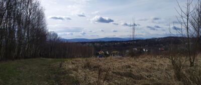 Nowy Wiśnicz ↔ Bochnia, ul. Olszynowa