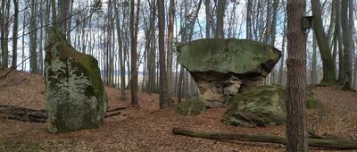 Rezerwat Kamień Grzyb ↔ Leksandrowa, Bukowiec