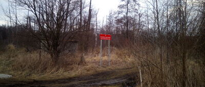 Wieliszew ↔ Rezerwat Wieliszewskie Łęgi