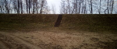 Rezerwat Wieliszewskie Łęgi