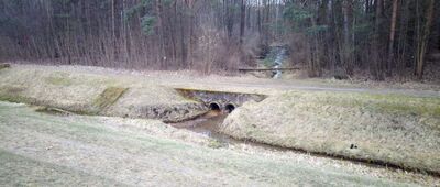 Rezerwat Wieliszewskie Łęgi ↔ Zegrze Południowe