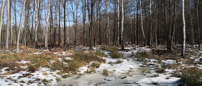 Lotnisko Muchowiec ↔ Ochojec, miejsce postoju [Zespół przyrodniczo-krajobrazowy Źródła Kłodnicy]
