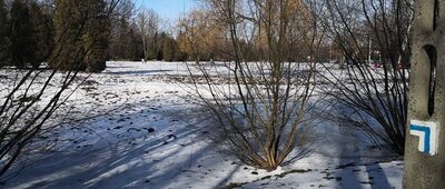 Lotnisko Muchowiec ↔ Ochojec, miejsce postoju [Katowicki Park Leśny]