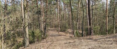 Borowa Góra koło Famułek Brochowskich ↔ Odejście ścieżki dydaktycznej