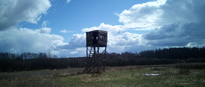 Rozejście szlaków czerwony / zielony ↔ Rezerwat Puszcza Słupecka