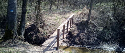 Lelewo, rozejście szlaków ↔ Borkowo [Niedawno był tu tylko kawałem deski, szerokości buta. Teraz ktoś zrobił ładną przeprawę.]