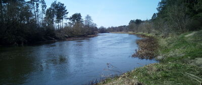 Rozejście szlaków ↔ Rozejście szlaków [Rzeka Wkra]