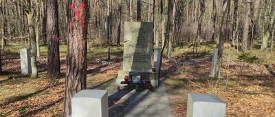 Rozejście szlaków niebieski / zielony [i tylko odrobinę głebiej w lesie]