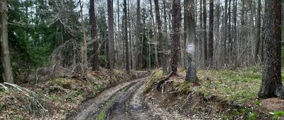 Skrzyżowanie szlaków czerwony / niebieski [Skrzyżowanie szlaków]