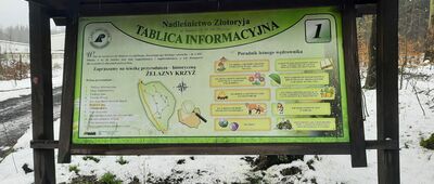 Wilków, ul. Leśna [Tablica informacyjna Żelazny Krzyż]