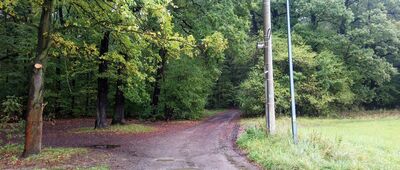 Mąkołowiec, pętla ↔ Las Ogoniok [ul. Wronia w Tychach]