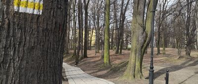 Mikołów, Planty ↔ Mikołów, ul. Konstytucji 3 Maja [Mikołowskie Planty (czerwony nie jest zbyt dobrze oznakowany)]