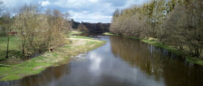 Falbogi Borowe ↔ Rozejście szlaków czerwony / niebieski [Zdjęcie z mostu nad Wkrą w Goławicach]