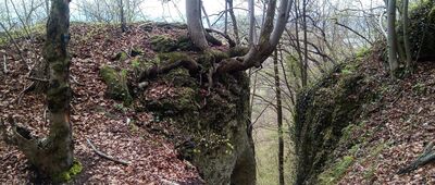 Kamień ↔ Czarny Las k. Rusocic [Czarci Przesmyk w Rusocicach]