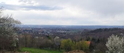 Wieliczka, zamek ↔ Lednica Górna