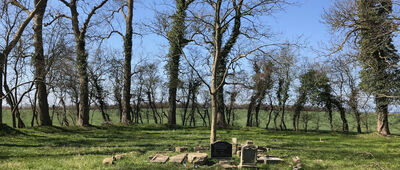 Nowielice ↔ Trzebusz, rozejście szlaków