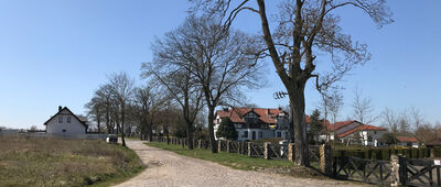 Nowielice, rozejście szlaków