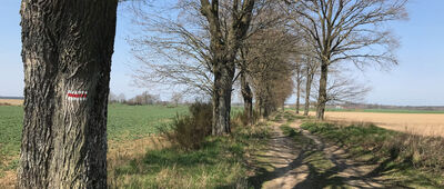 Piotrowice ↔ Lubiechowo