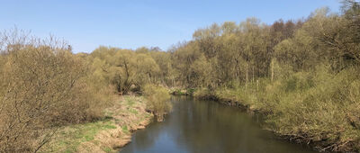 Lubiechowo ↔ Karlino, ul. Stanisława Moniuszki