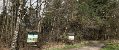 Rozejście szlaków czerwony / zielony