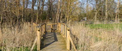 Skrzyżowanie ze ścieżką dydaktyczną ↔ Odejście ścieżki dydaktycznej [Dojście do grodziska.]