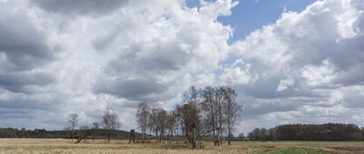 Manowo ↔ Rozejście szlaków czerwony / zielony