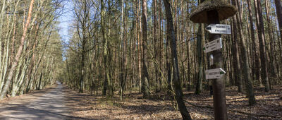 Międzyzdroje, Droga Żubrowa