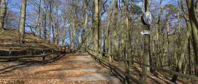 Kawcza Góra, odejście na punkt widokowy