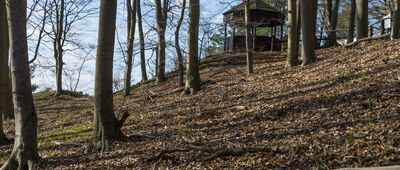 Kawcza Góra, odejście na punkt widokowy [Wiata na punkcie widokowym na Kawczej Górze.]