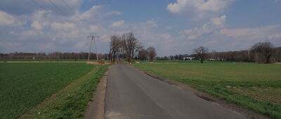 Kozłów, MOP ↔ Kozłów, ul. Nowosądecka