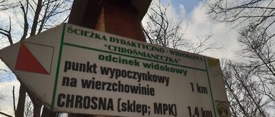 Dolina Brzoskwinki [Odejście ścieżki spacerowej w Dolinie Brzoswinki]