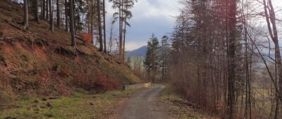 Rozejście przy grodzisku ↔ Grodzisko