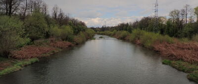 Skoczów, Harbutowice